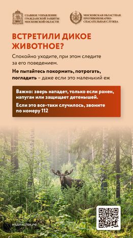 Что делать при встрече с диким животным вертикаль 03