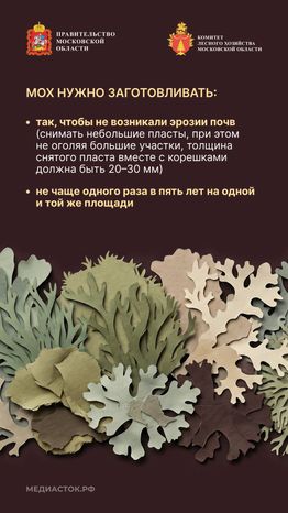 Недревесные ресурсы для собственных нужд Вертикаль 09