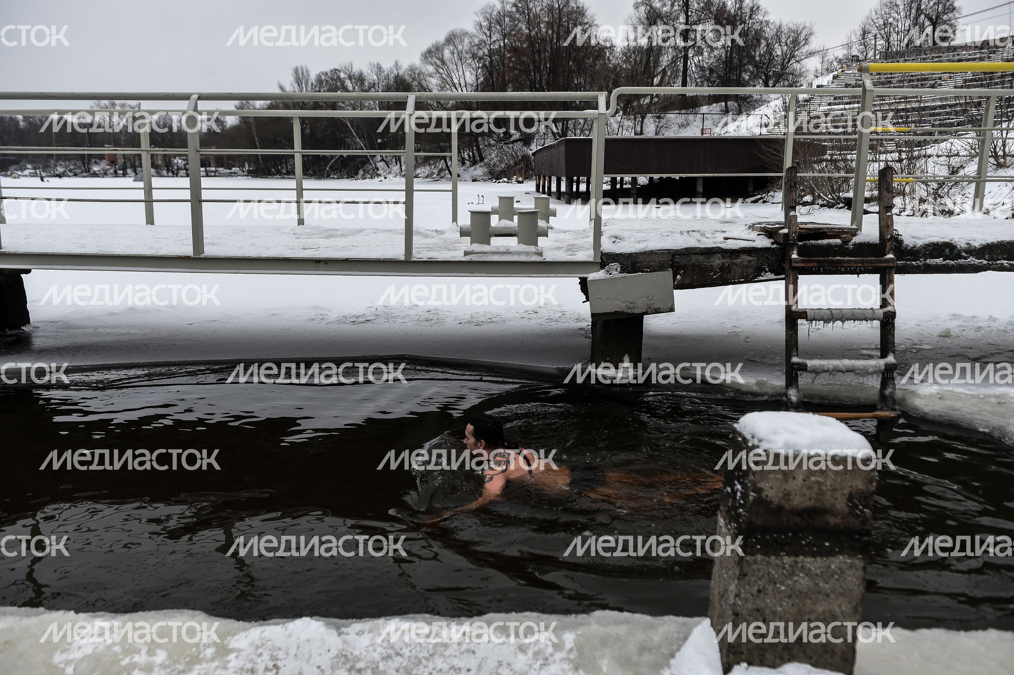 Купание моржей в Долгопрудном