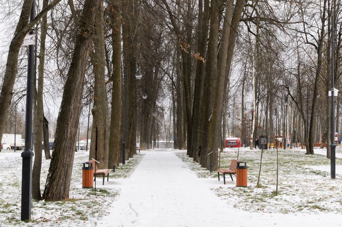 Лобня. Парк «Киово». Зима