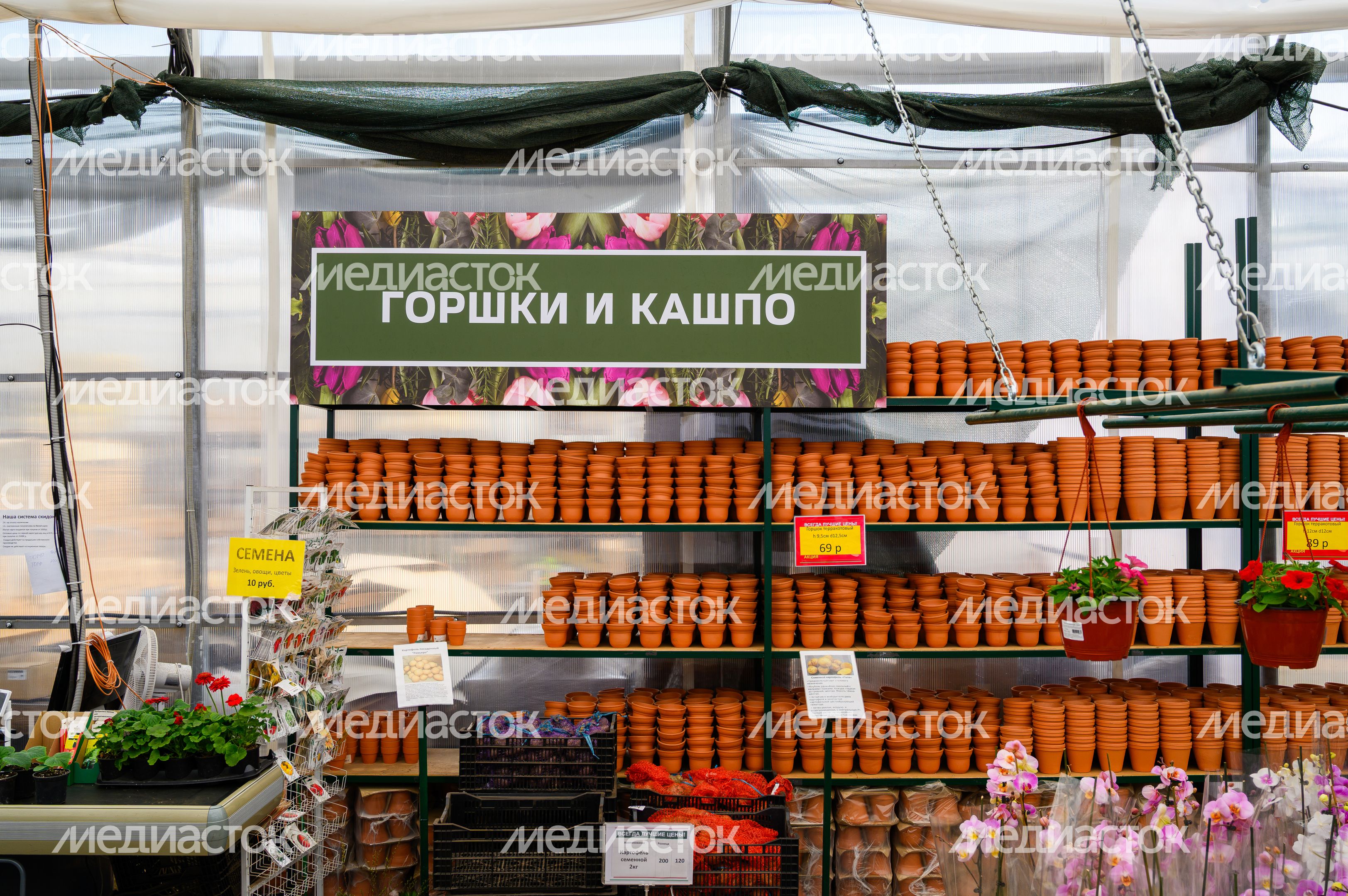 Рассада и цветы в горшках в садовом центре агрокомплекса «Цветком» в Раменском округе