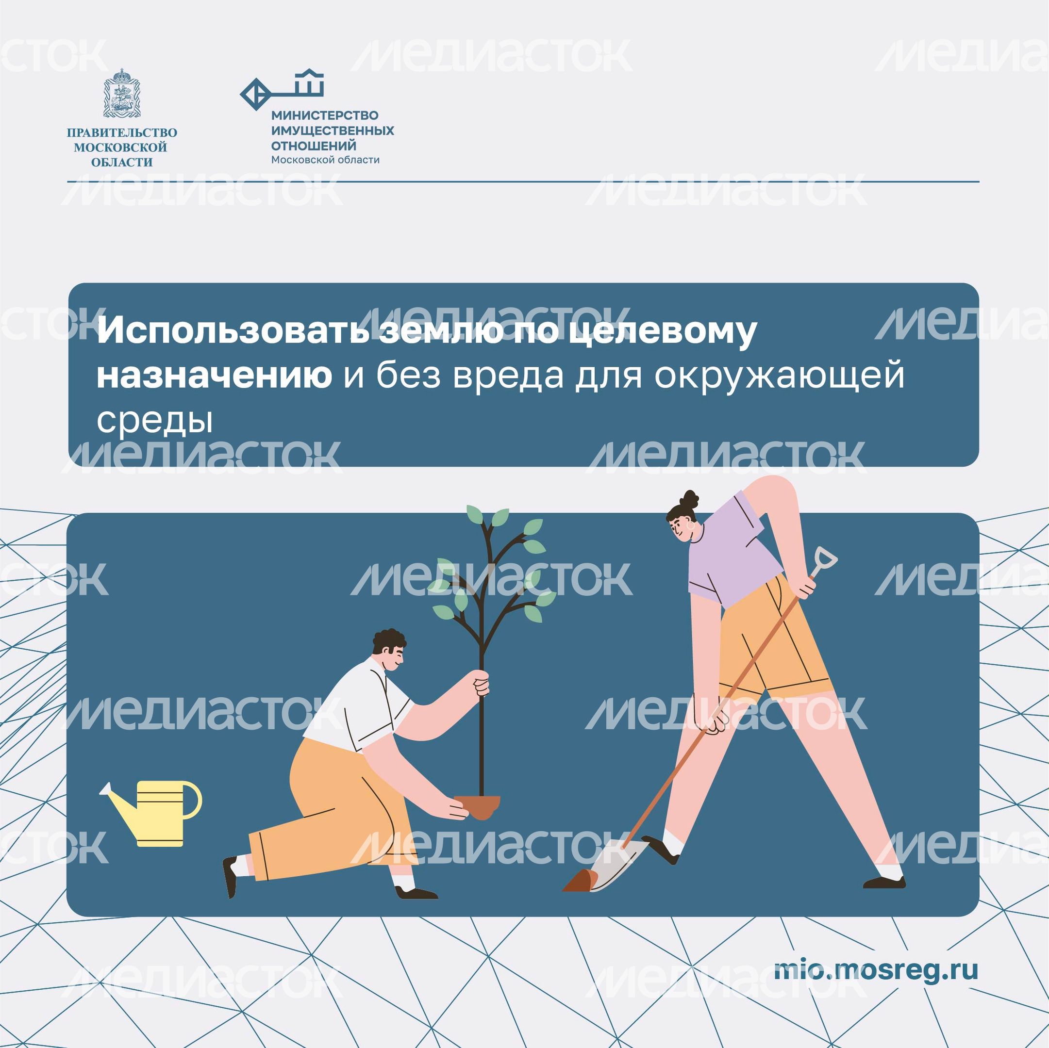 Что обязан делать собственник земельного участка_ квадрат 02