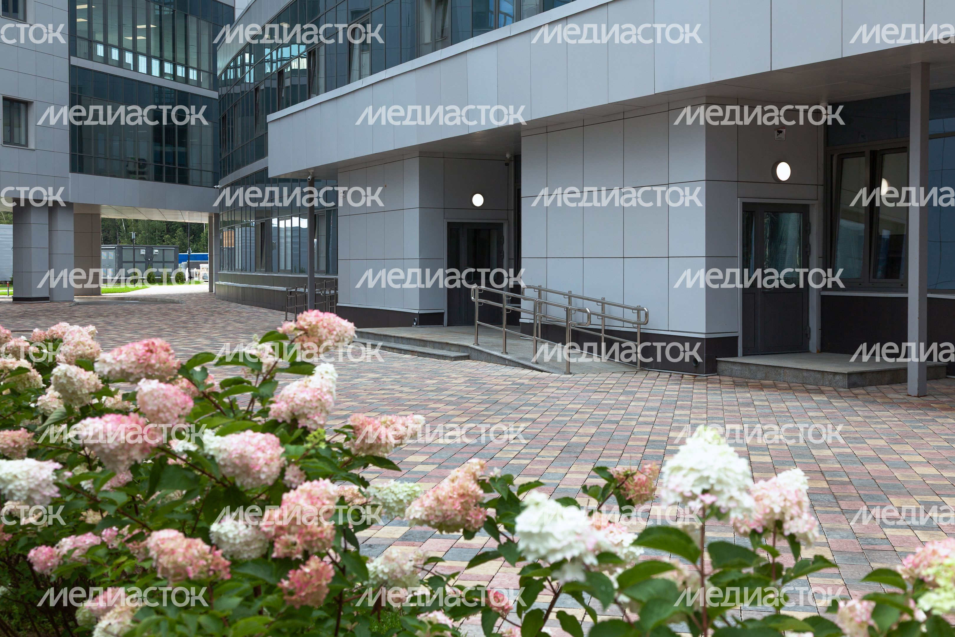Цветы на внутреннем дворе Детского клинического центра им. Л.М. Рошаля в Красногорске Цветы на внутреннем дворе Детского клинического центра им. Л.М. Рошаля в Красногорске