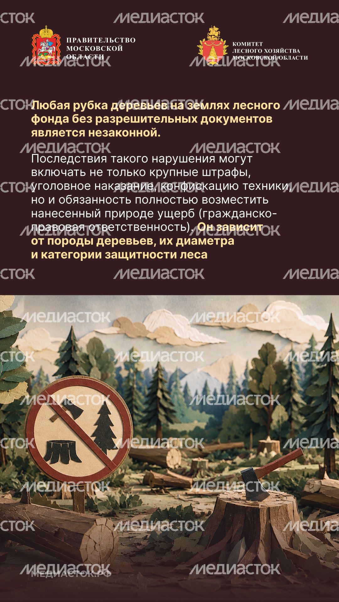 Незаконная рубка вертикаль 09