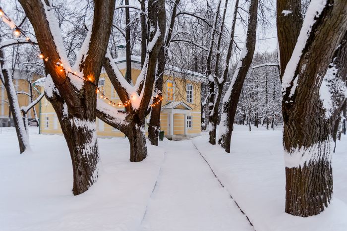 Красногорск. Усадьба «Архангельское». Зима