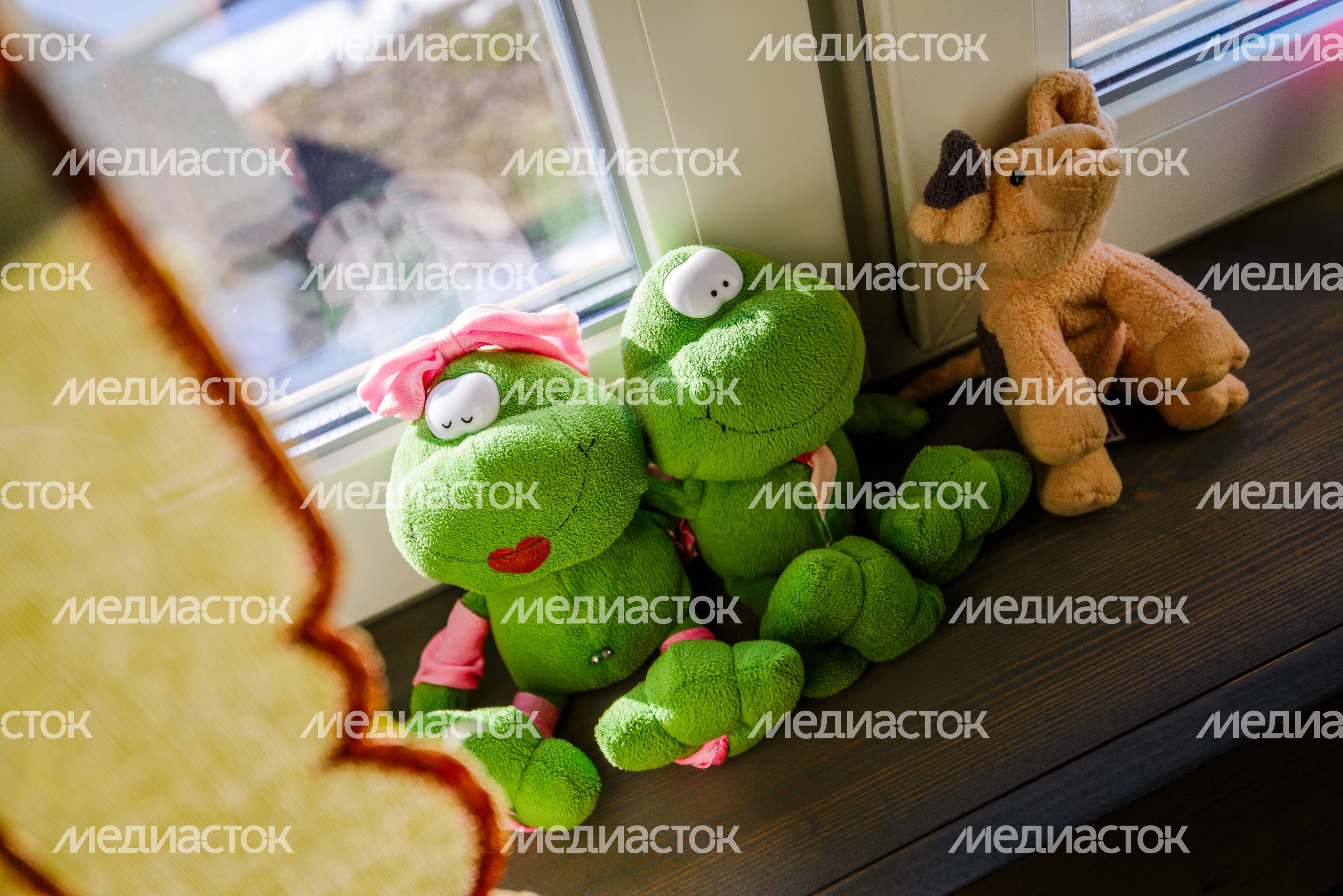 Сказочный музей Бабы Яги в царстве Мухомора в округе Щелково Сказочный музей Бабы Яги в царстве Мухомора в округе Щелково