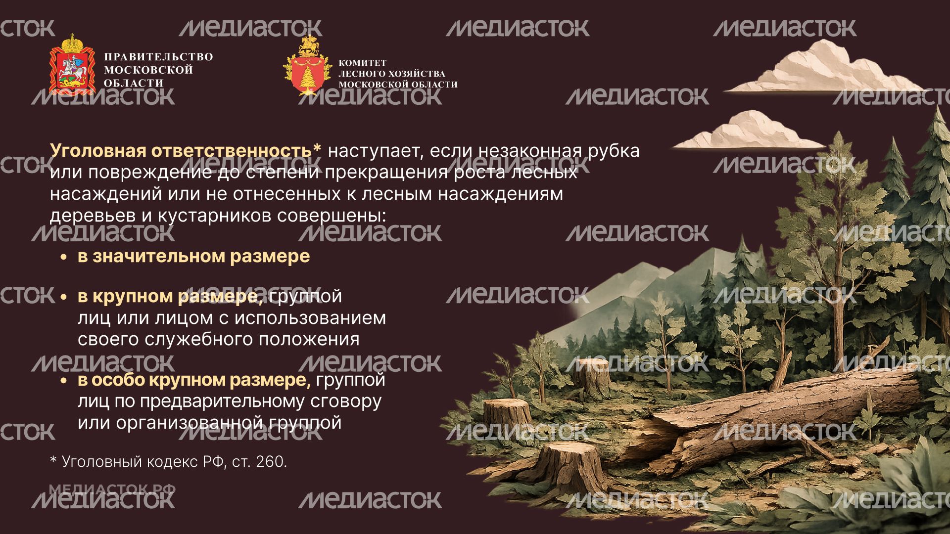 Незаконная рубка горизонталь 06