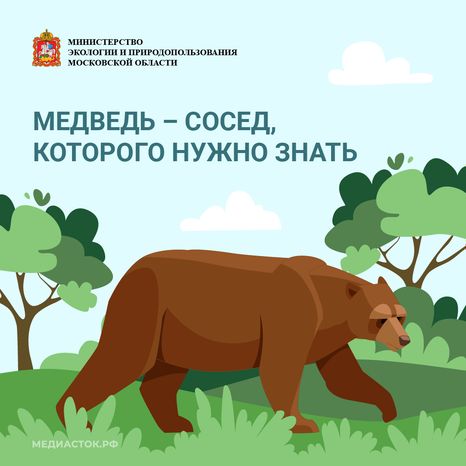 Медведь – сосед, которого нужно знать_квадрат 01