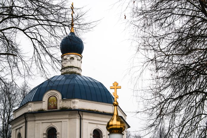 Деревня Ботово в Волоколамском городском округе