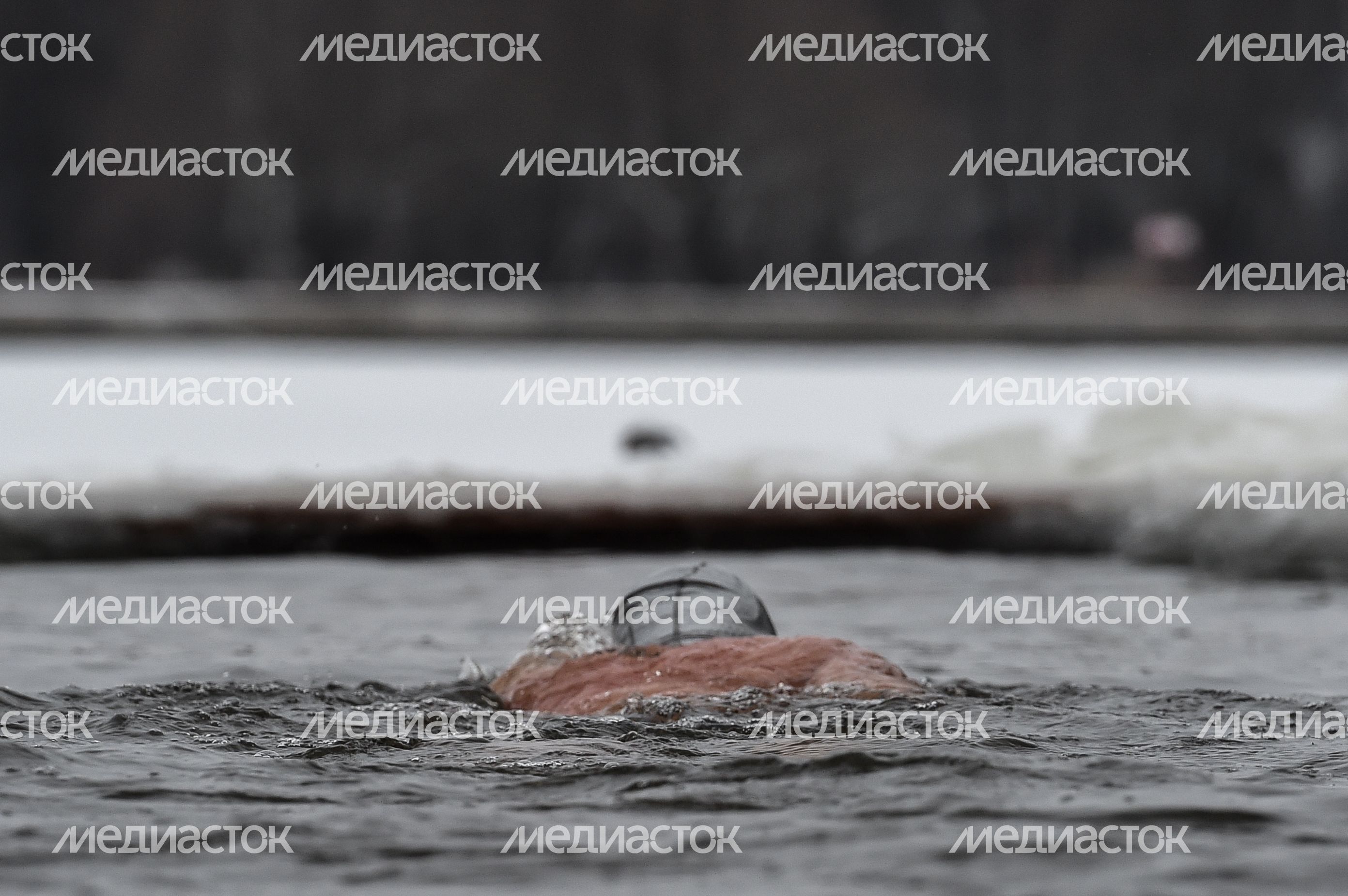 Купание моржей в Долгопрудном