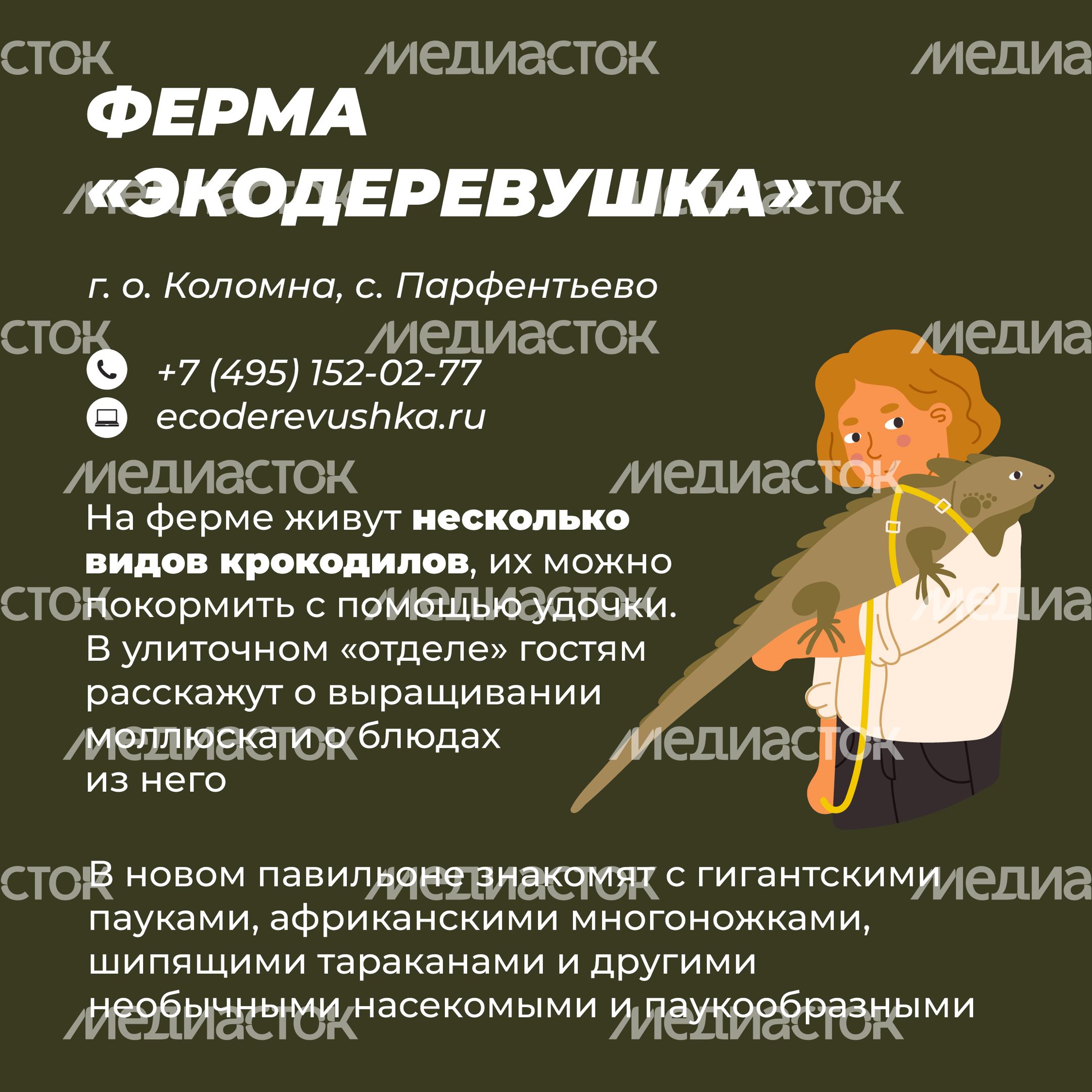 Фермы с животными-23.jpg