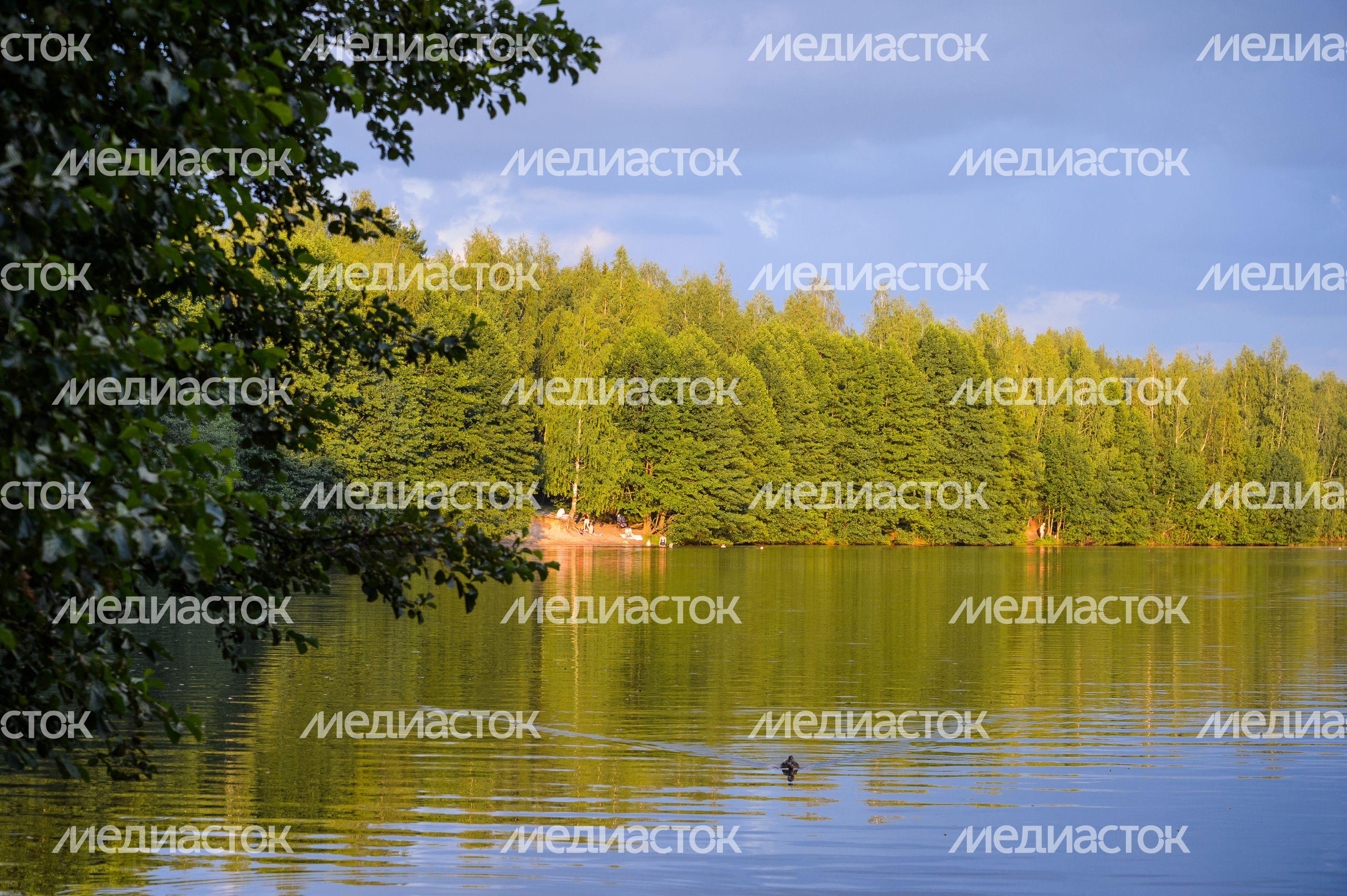 Горокруг Черноголовка. Летние виды реки Черноголовки