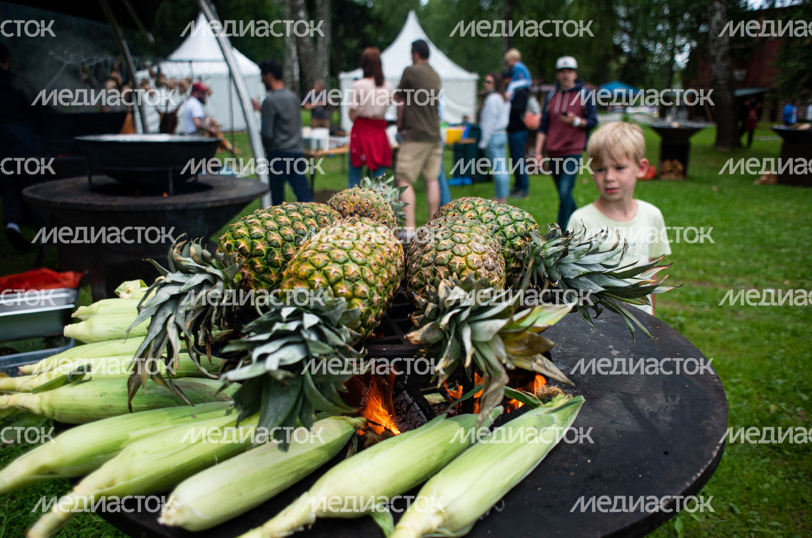 Гастрономический фестиваль Alpaca Wellbeing Fest