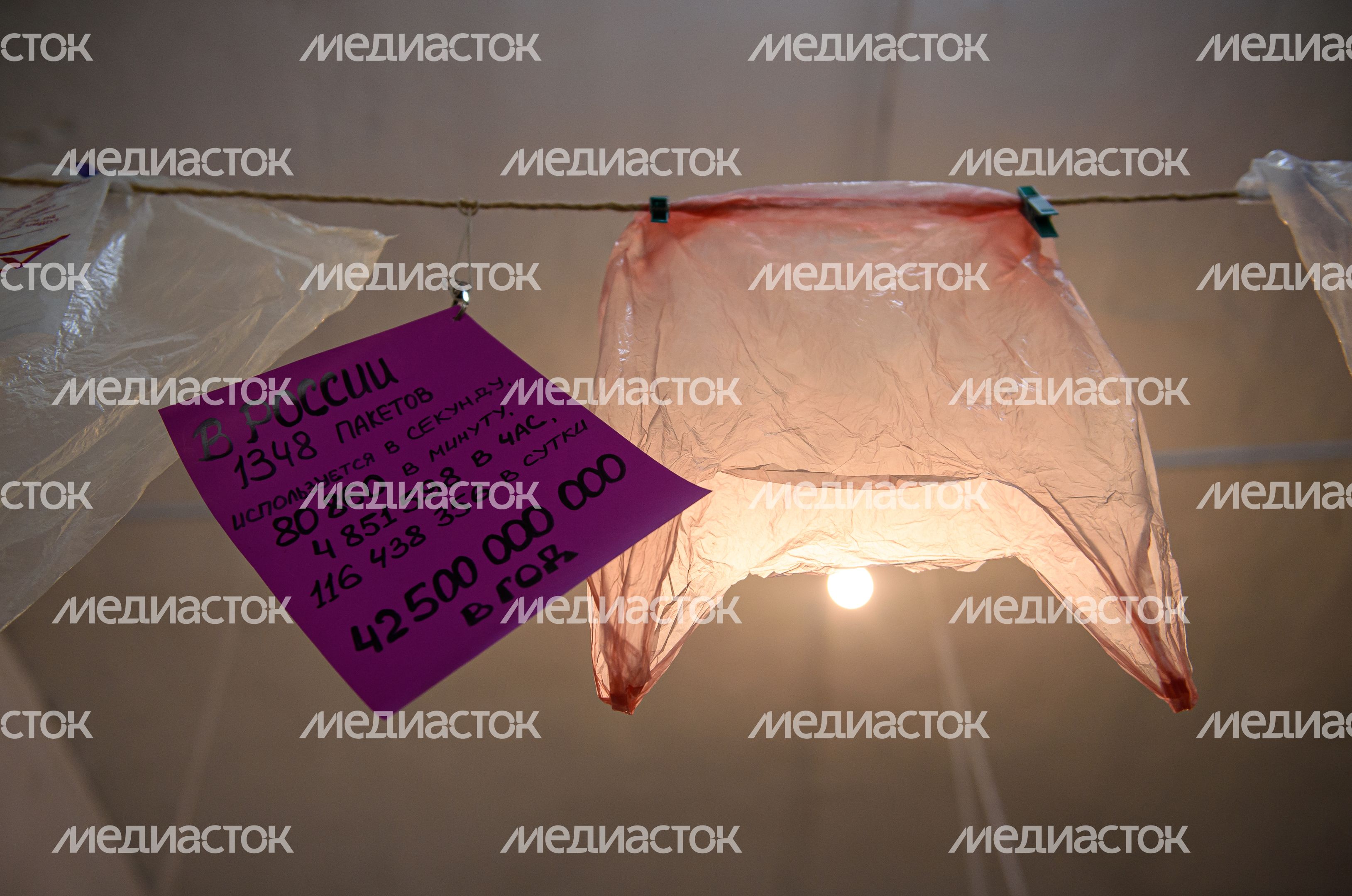 Интерактивный ЭкоМузей «МУЗМУС»