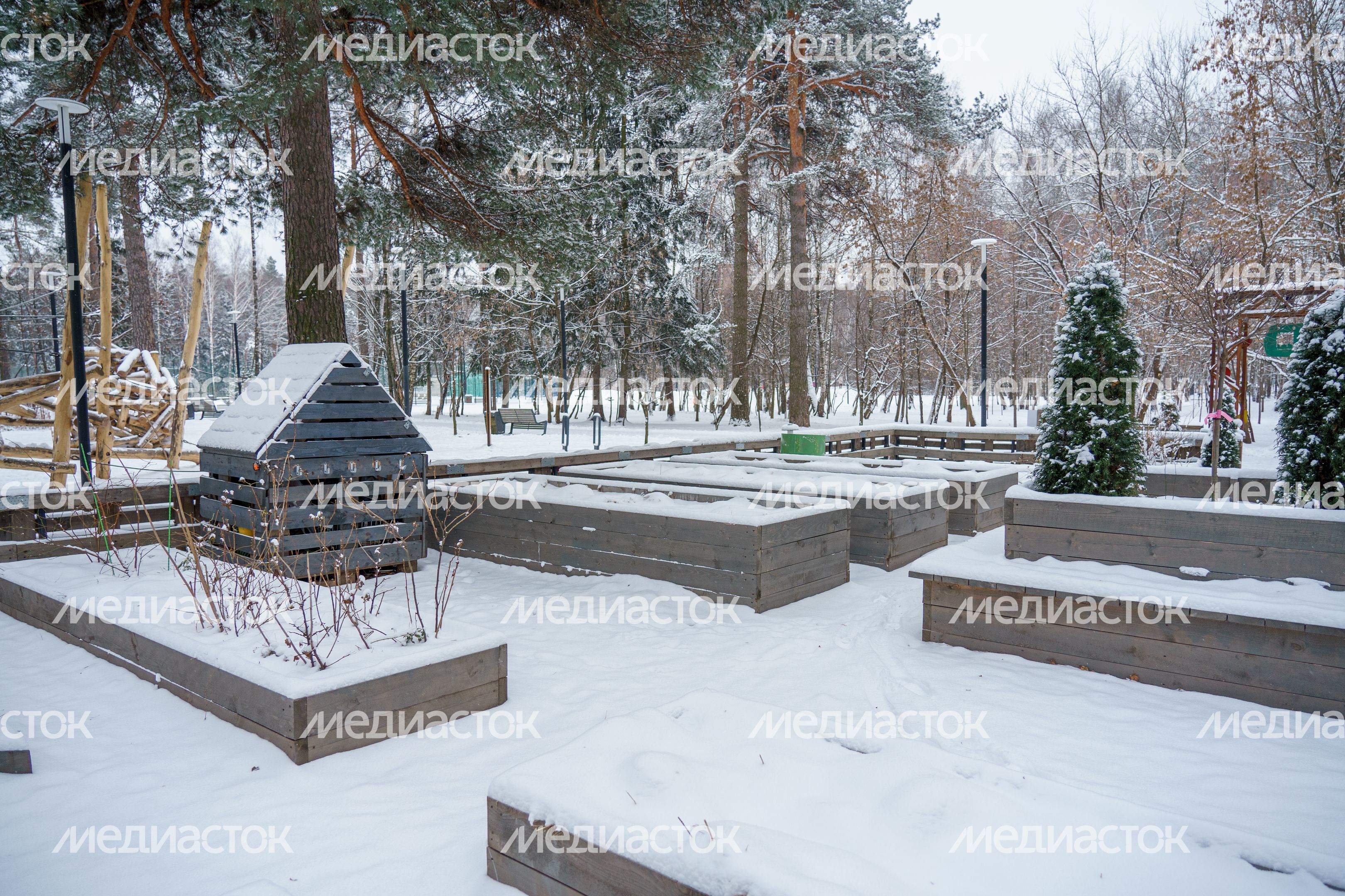 Балашиха. Пестовский парк. Зима Балашиха. Пестовский парк. Зима