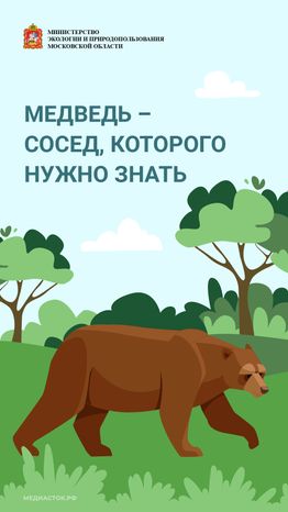 Медведь – сосед, которого нужно знать_вертикаль 01