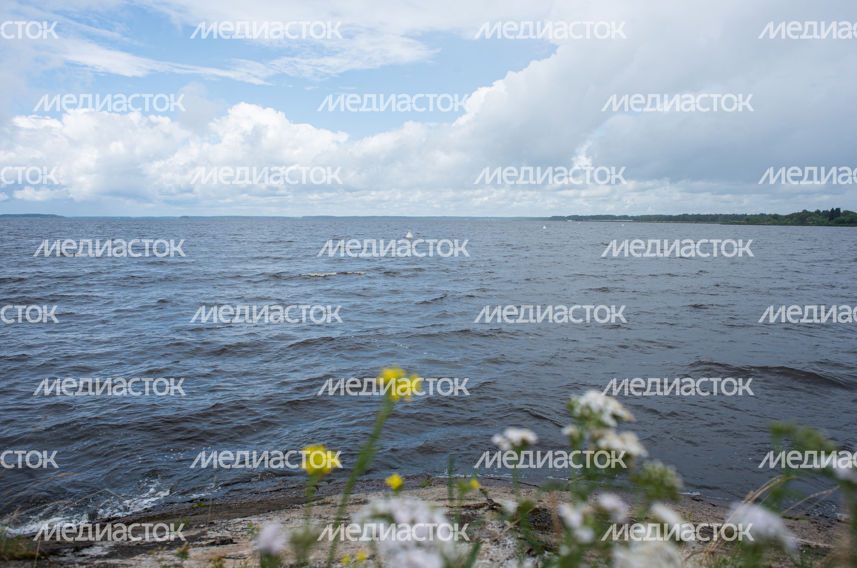 Летние виды города Дубна