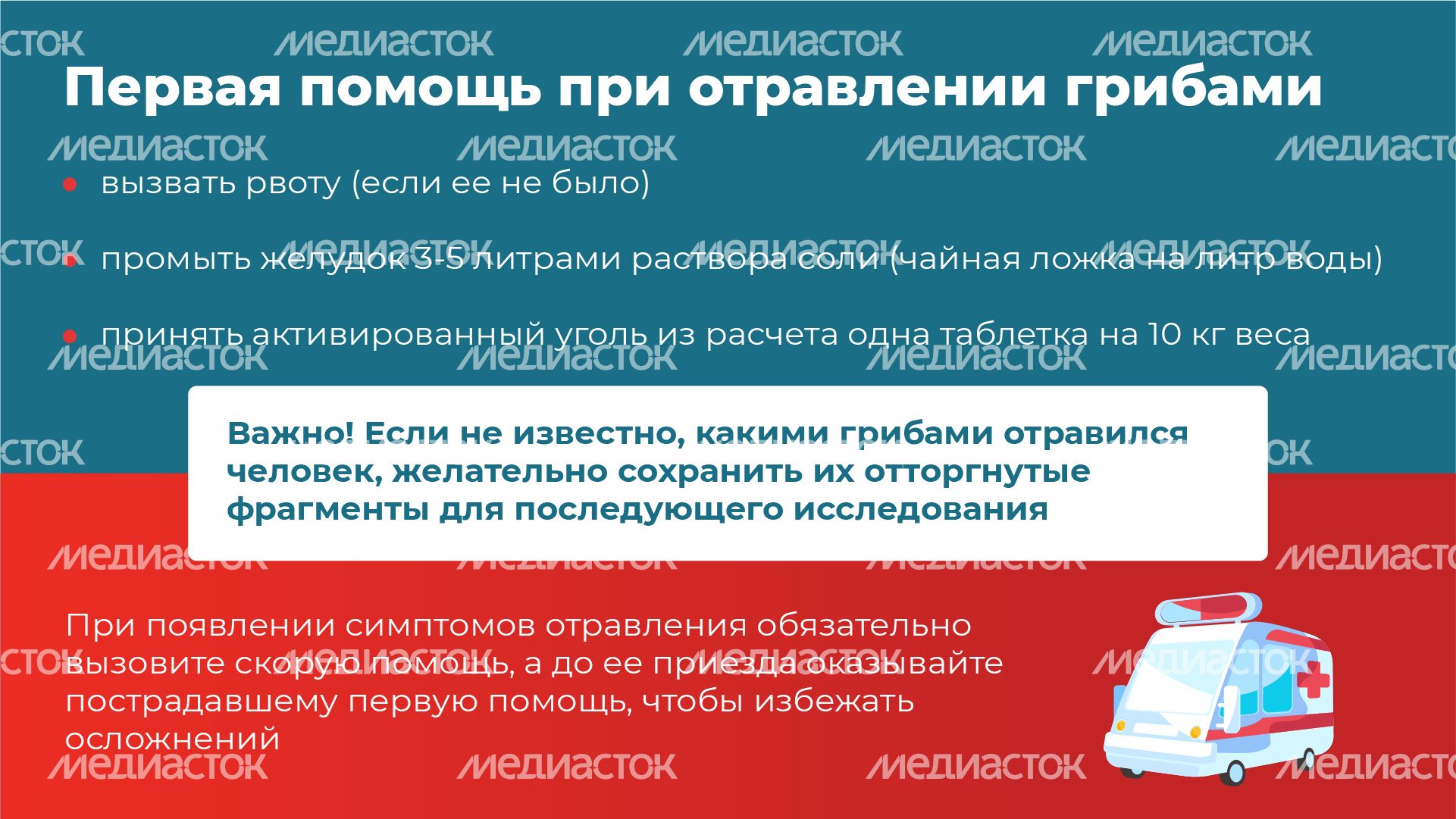 10 Горизонталь_грибы_09-100