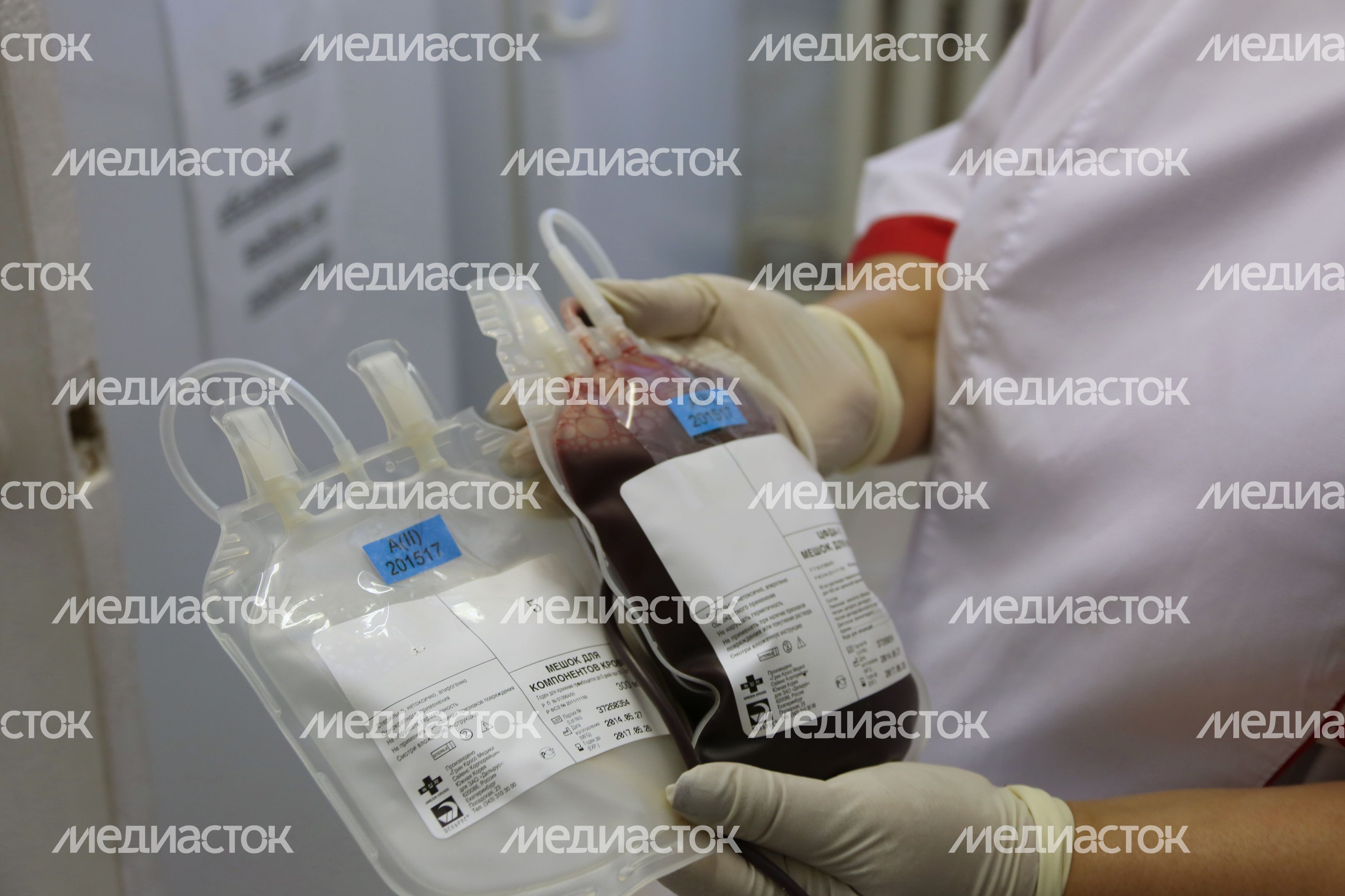Сдача донорской крови в Кашире