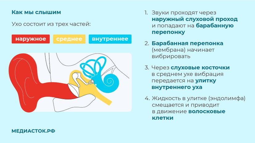 Могут ли наушники привести к тугоухости горизонталь 03