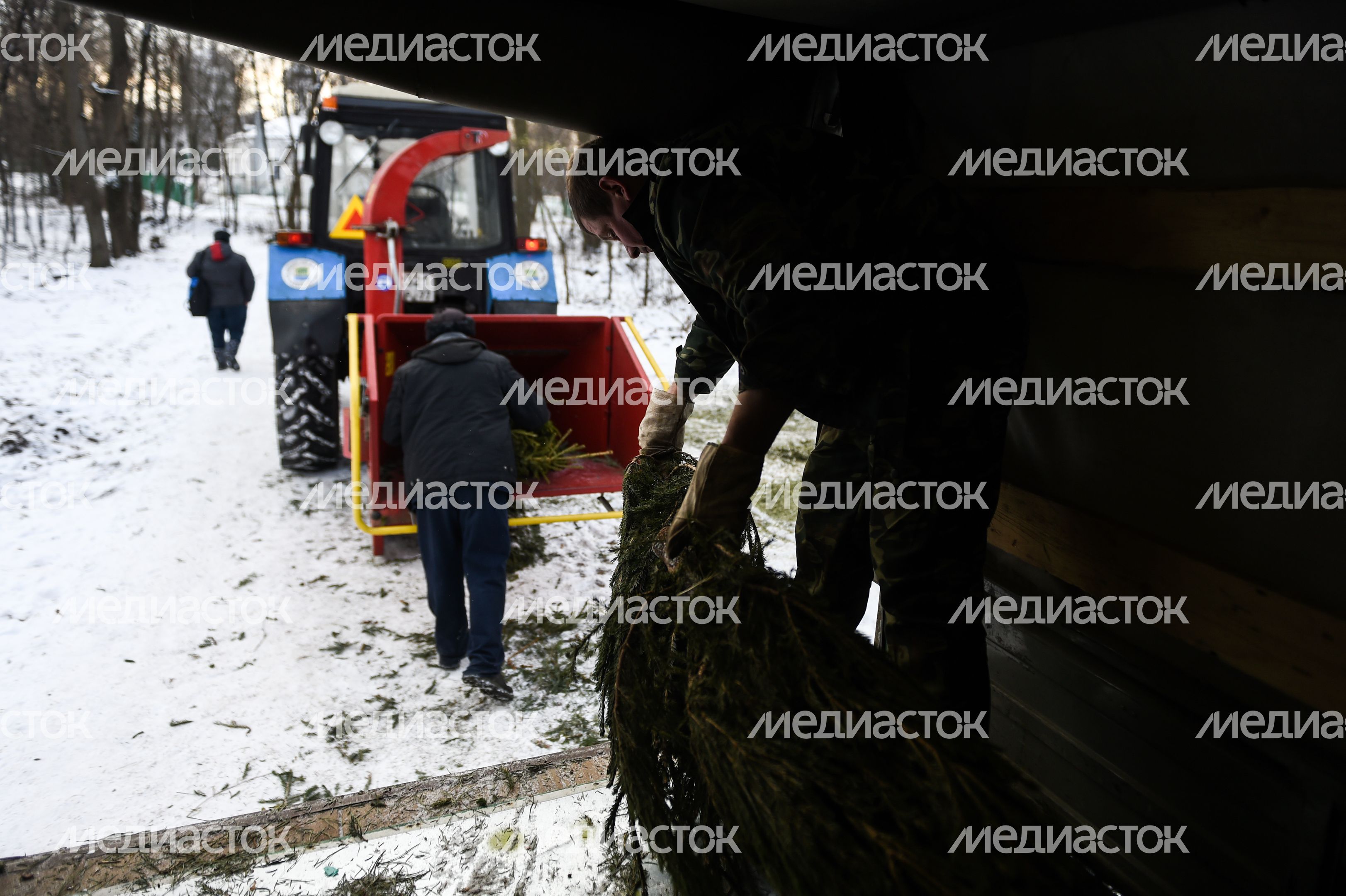 Утилизация елок после Нового года в Москве