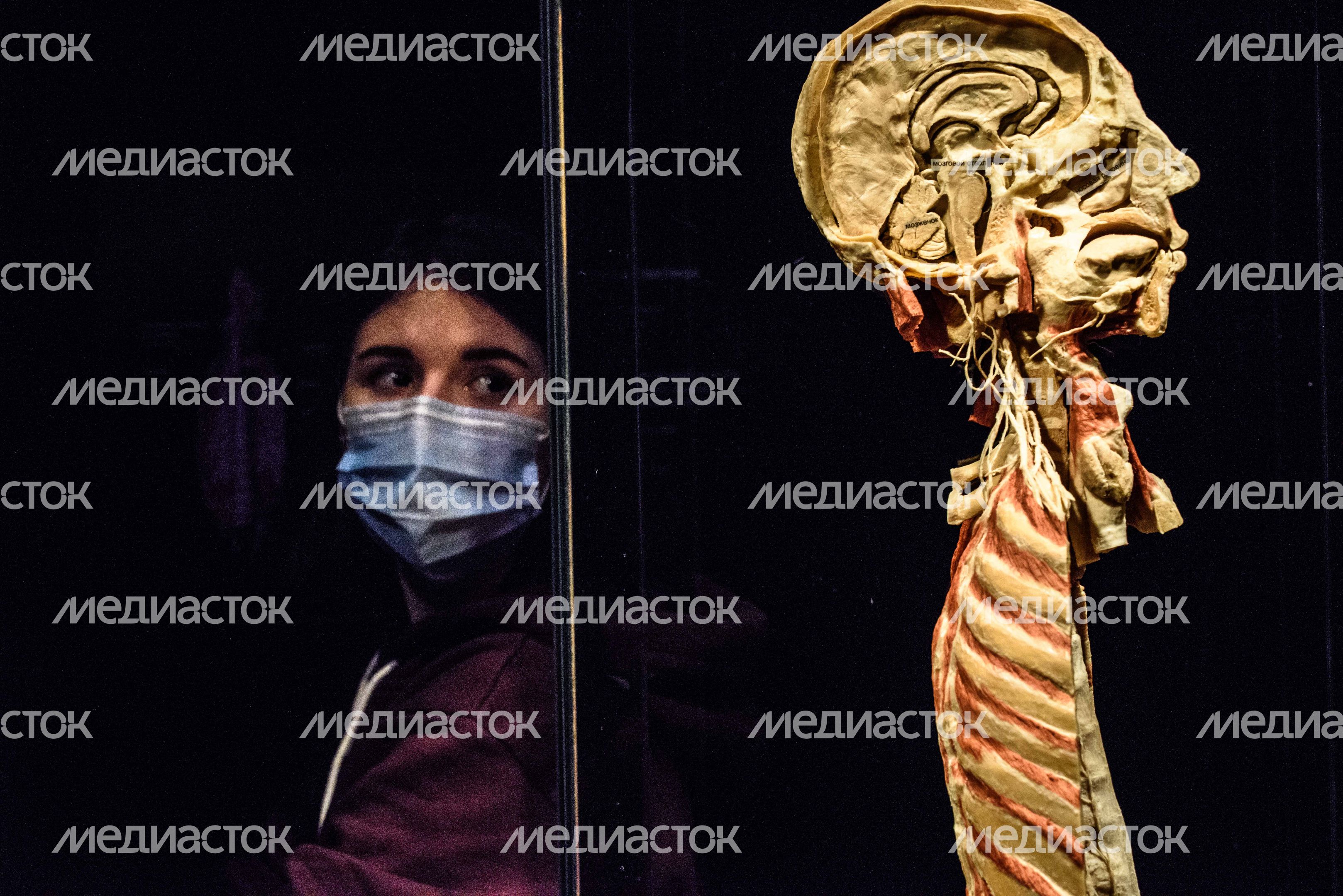 Выставка «Body Worlds» на ВДНХ