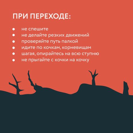 Болото-Квадрат-07.jpg