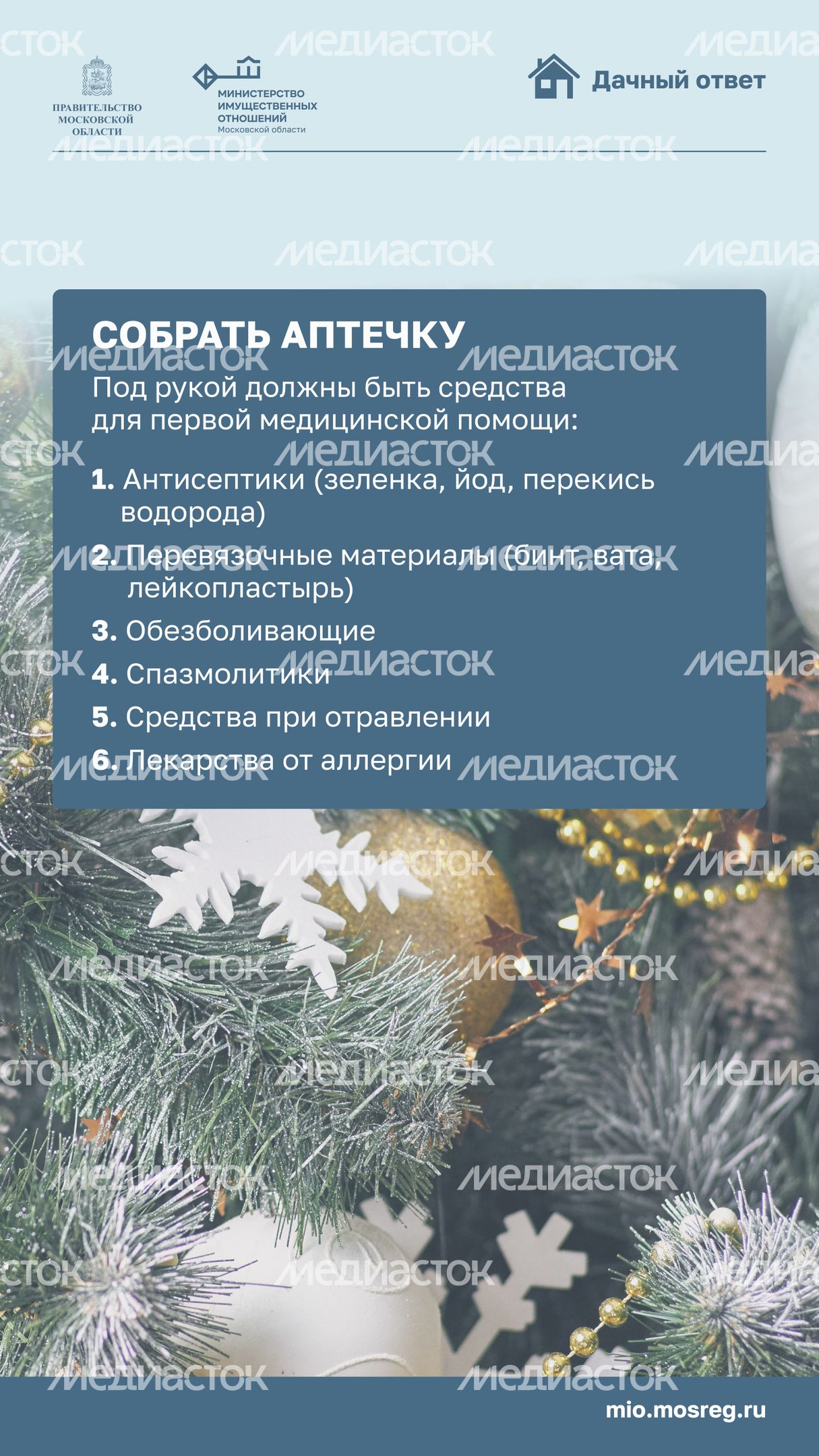 новый год на даче-вертикаль-08