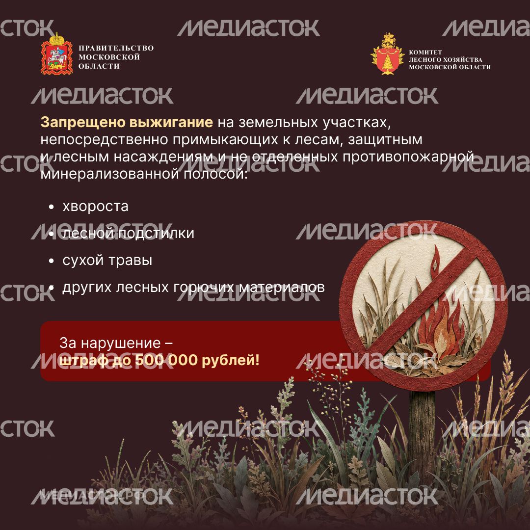 Живете рядом с лесом квадрат 06