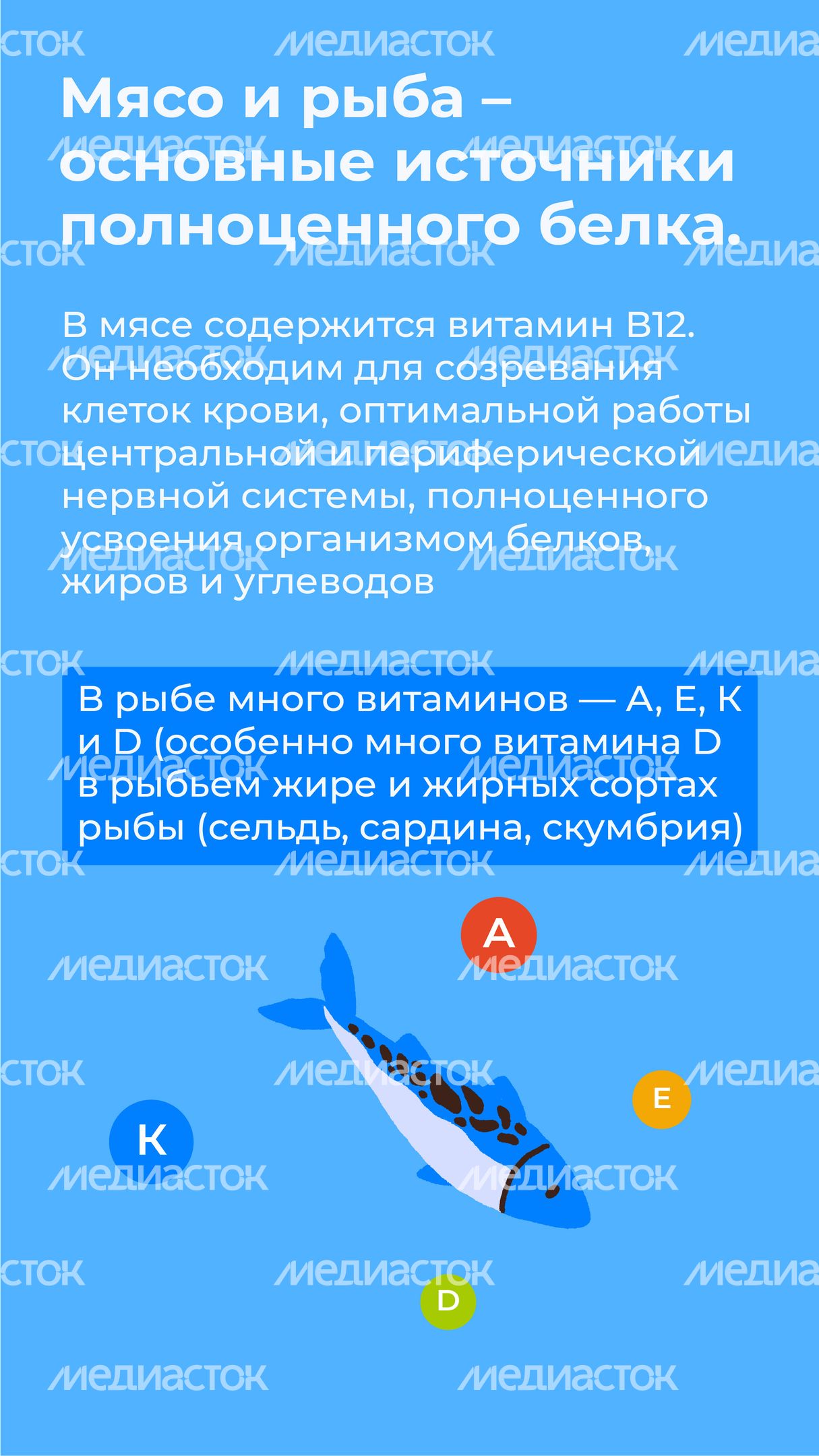 витамины-вертикаль-07