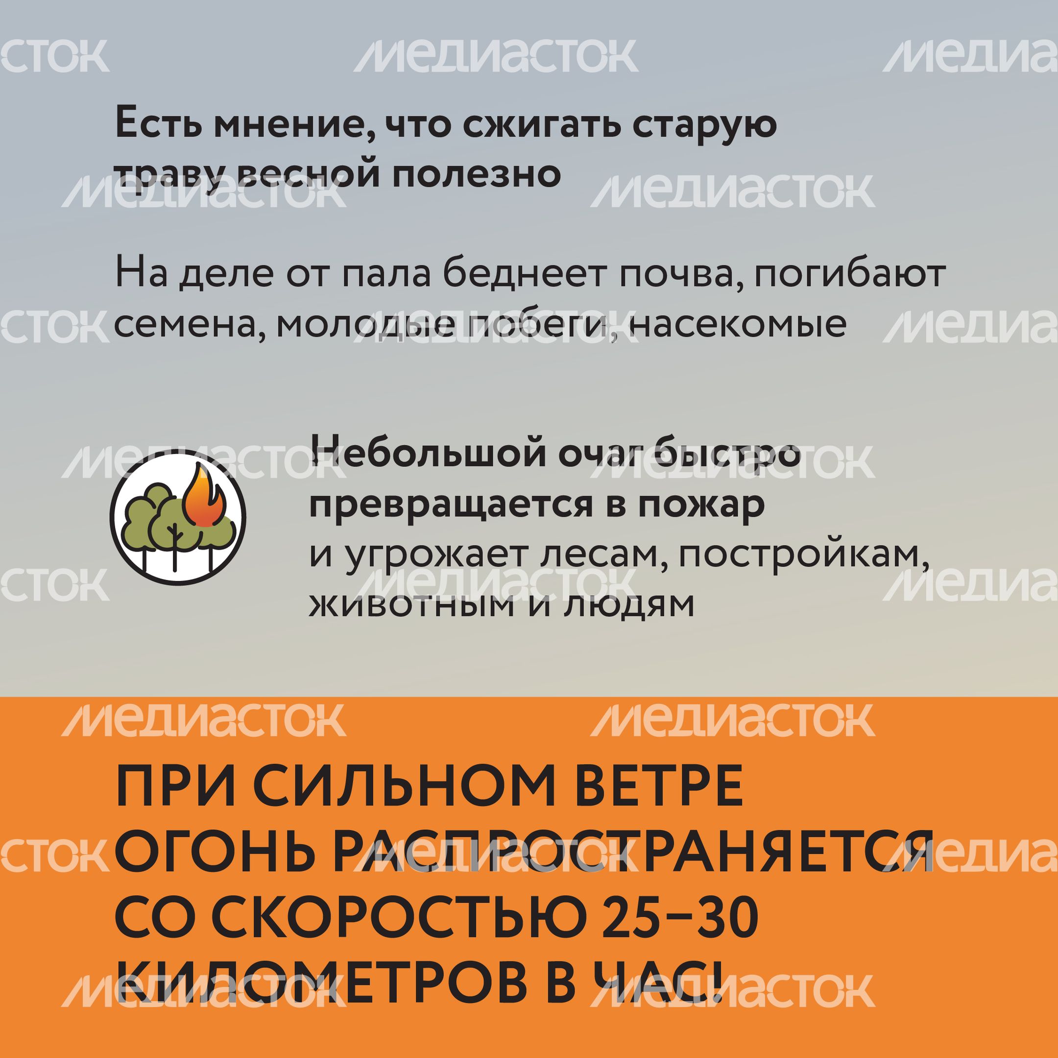 Пал травы-12.jpg