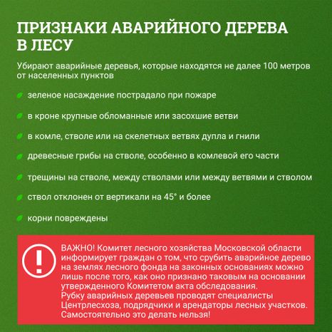 Аварийные деревья