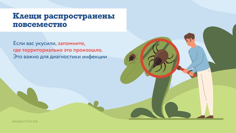 Как защититься от клещей горизонталь 04