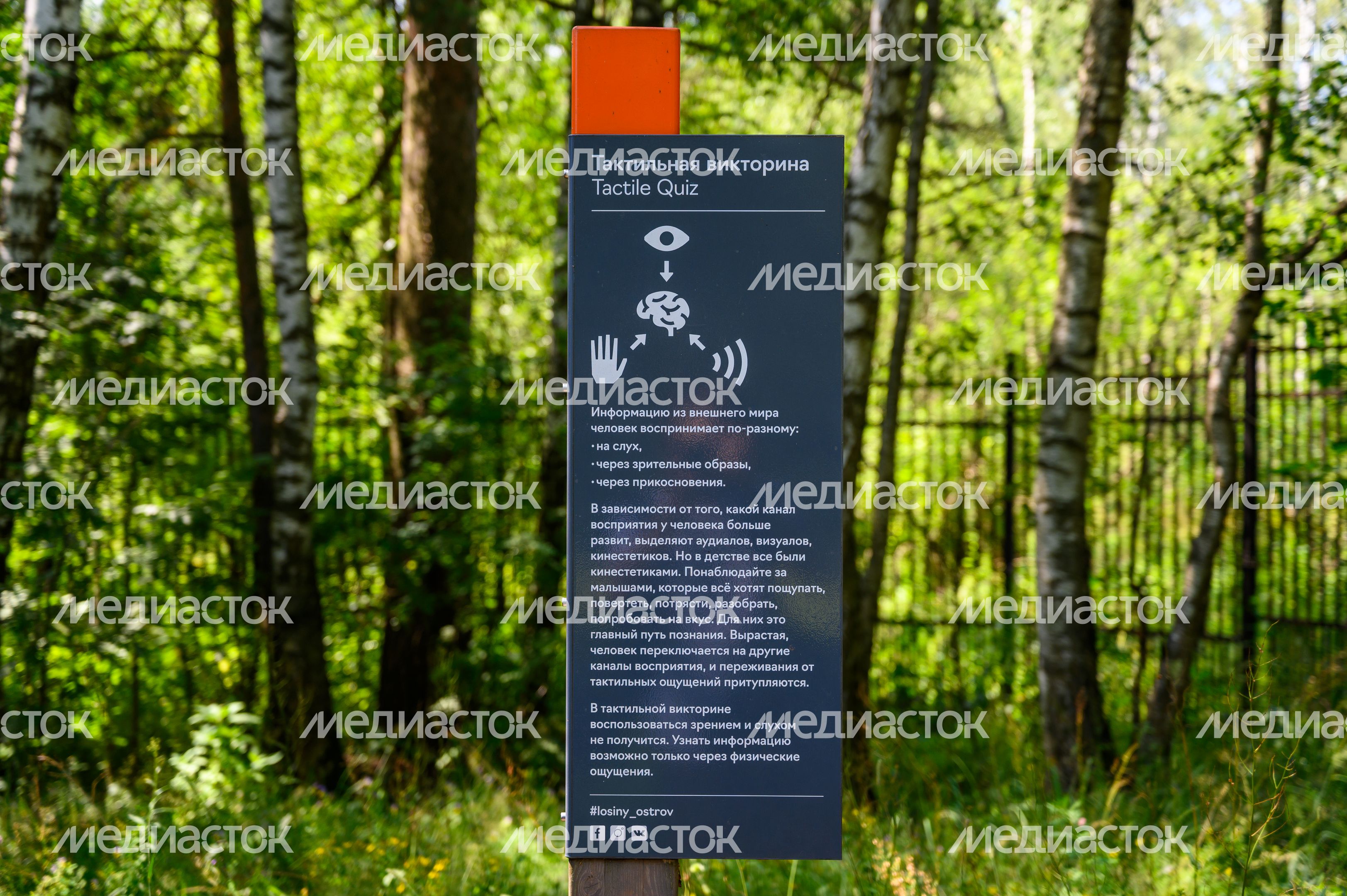 Эколого-просветительский комплекс "Дендрарий" в Мытищах Эколого-просветительский комплекс "Дендрарий" в Мытищах