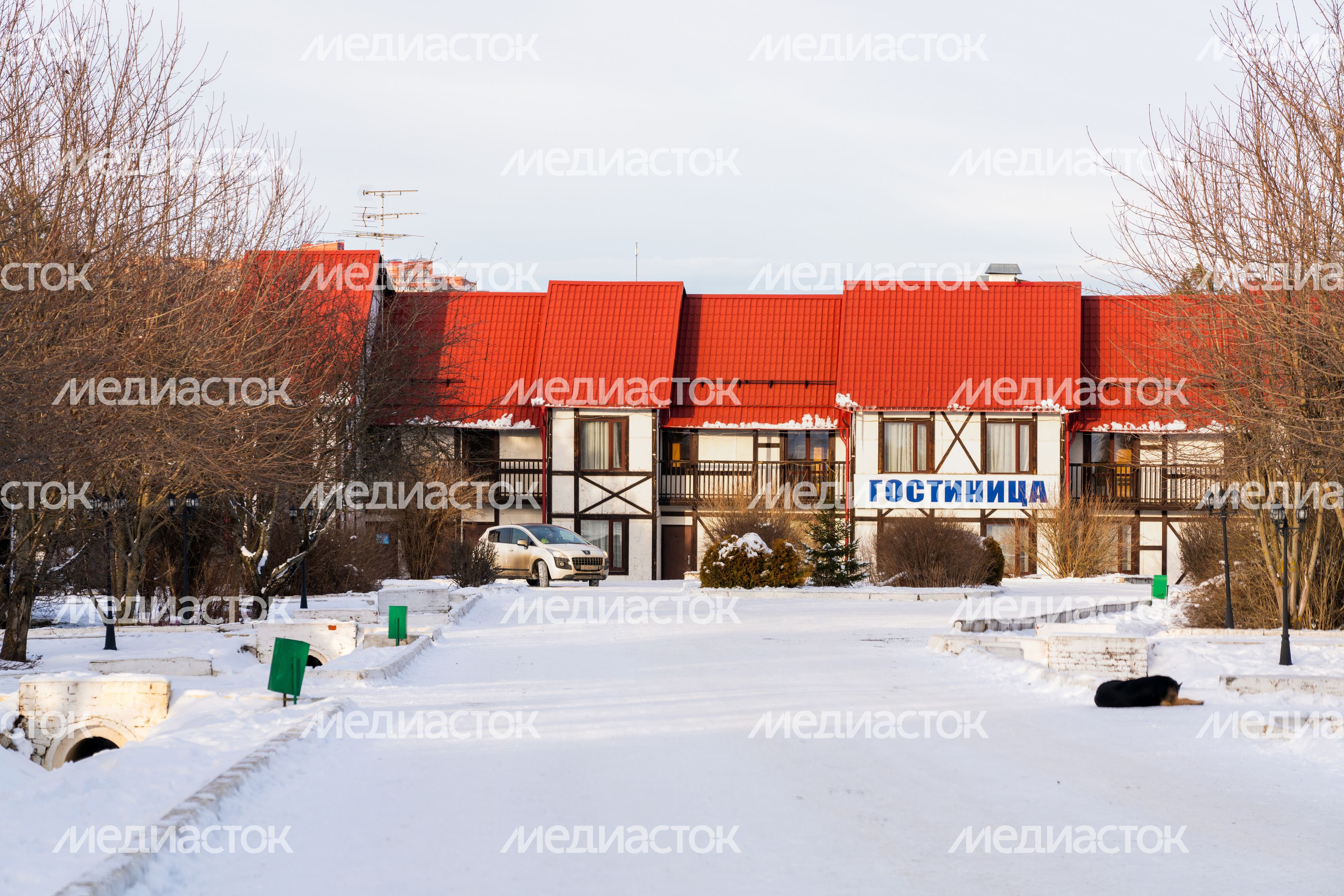 Горнолыжный клуб Леонида Тягачева. Зима 2025 года
