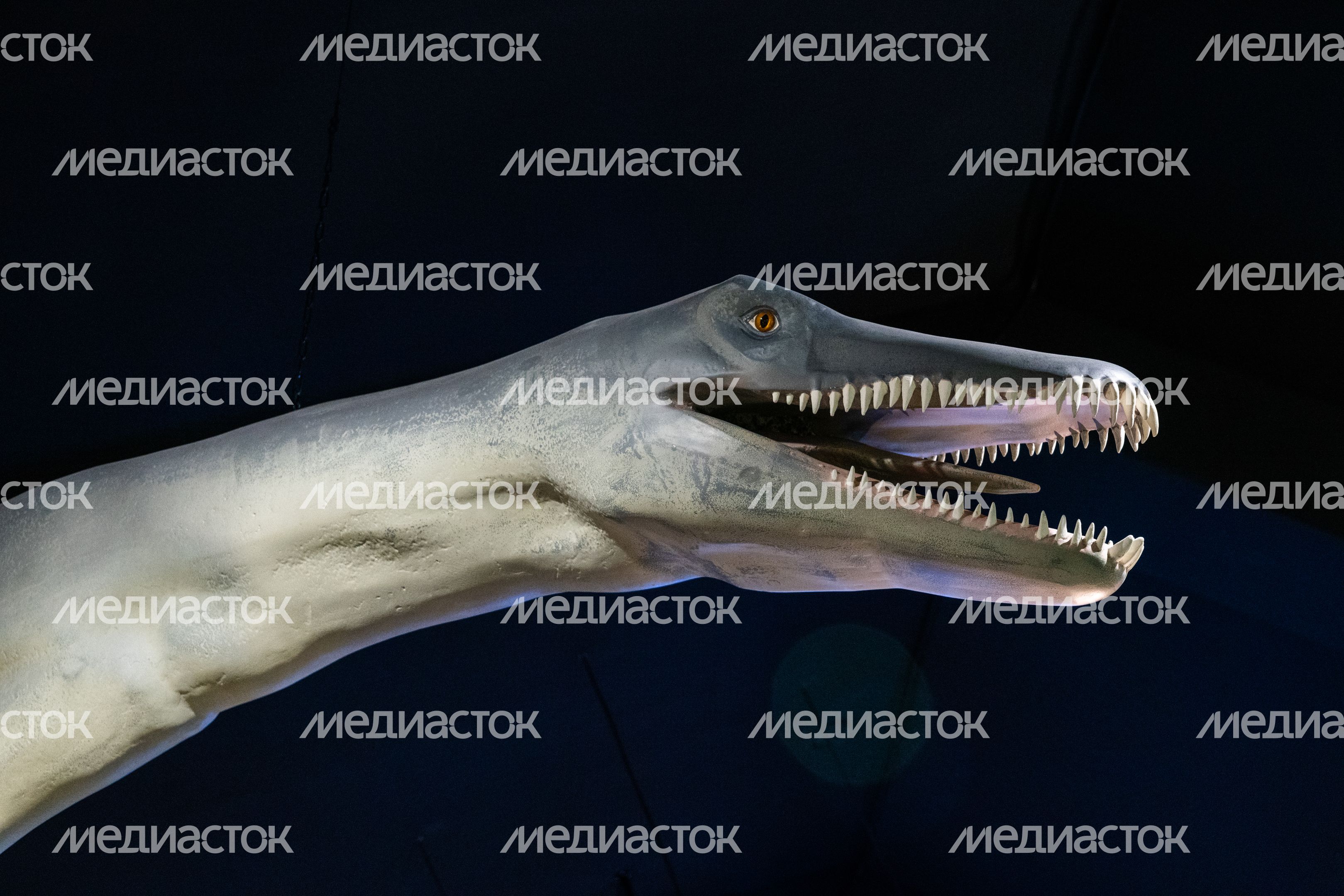 Музей истории мироздания в Истре
