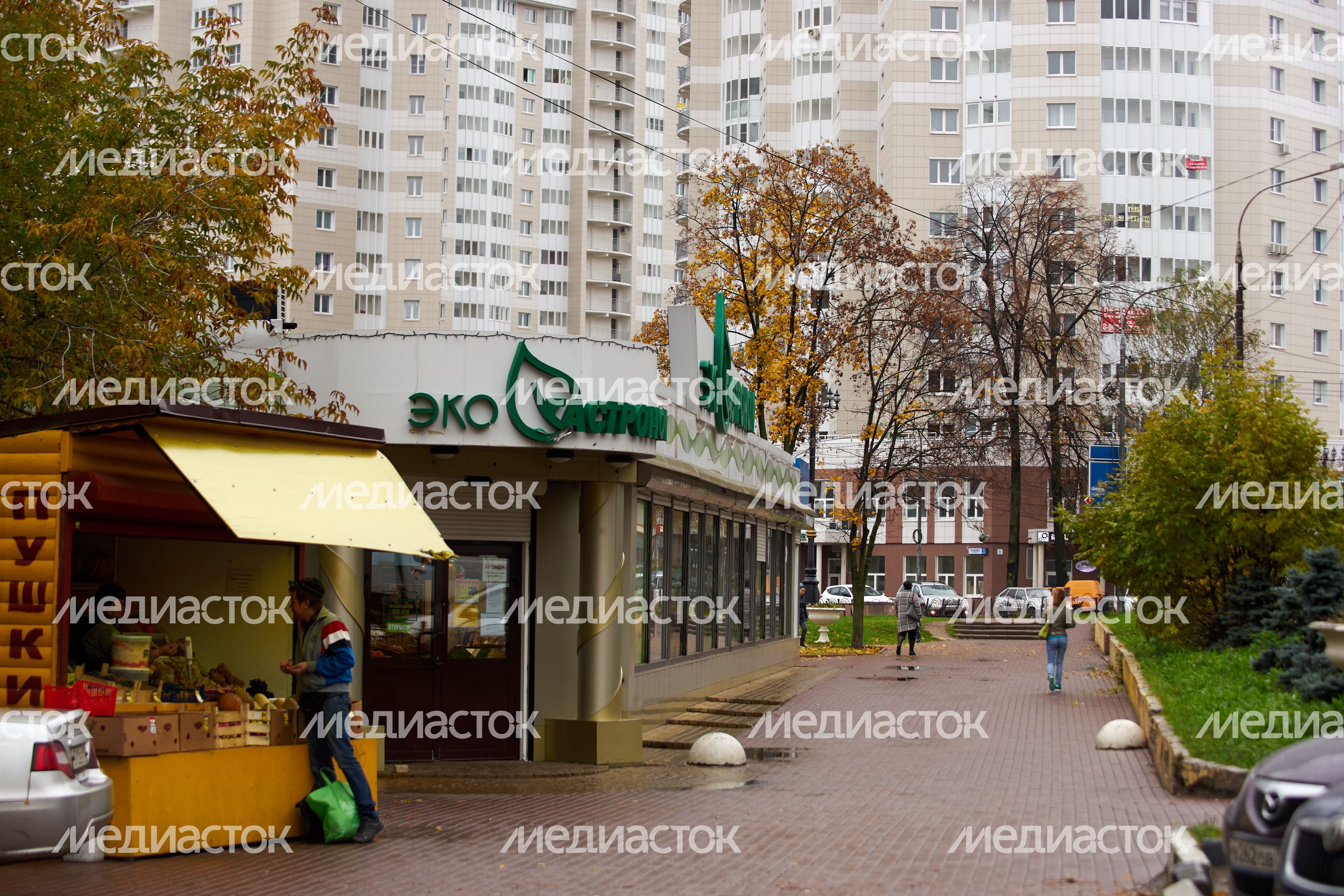 Осень в Подмосковье