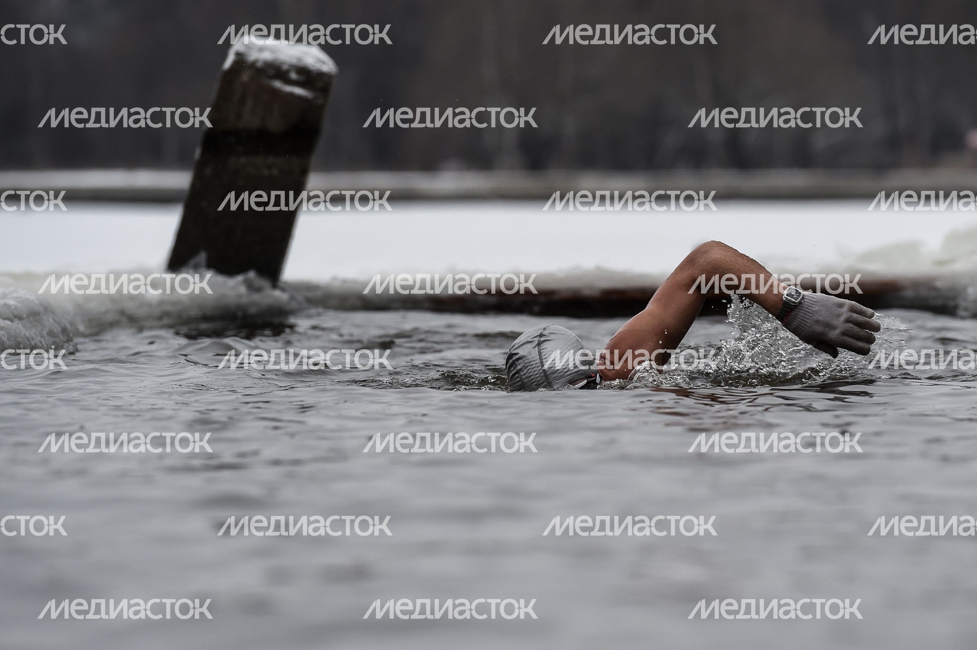Купание моржей в Долгопрудном