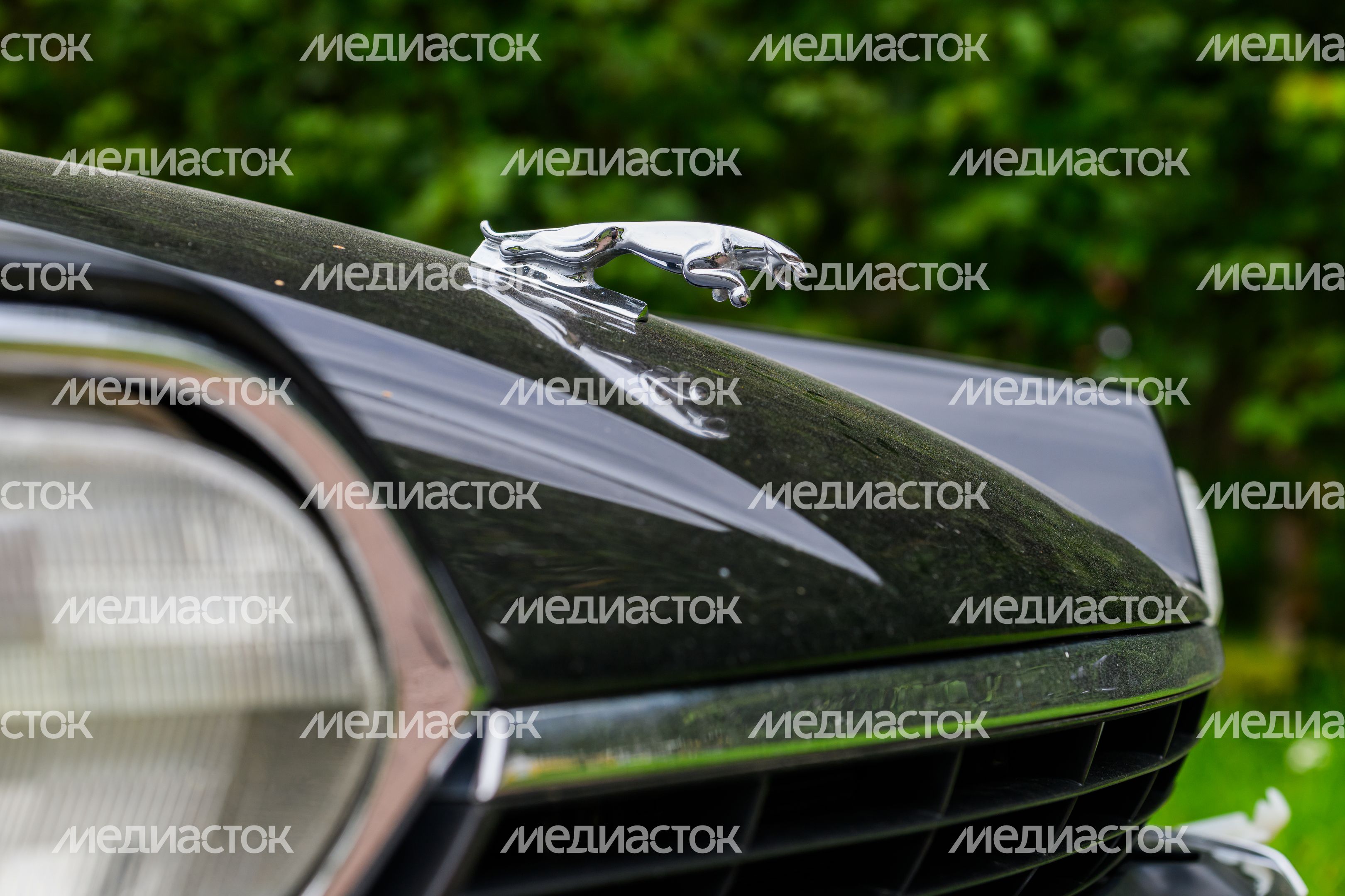 Автовыходные в музее-заповеднике "Архангельское" Автовыходные в музее-заповеднике "Архангельское"