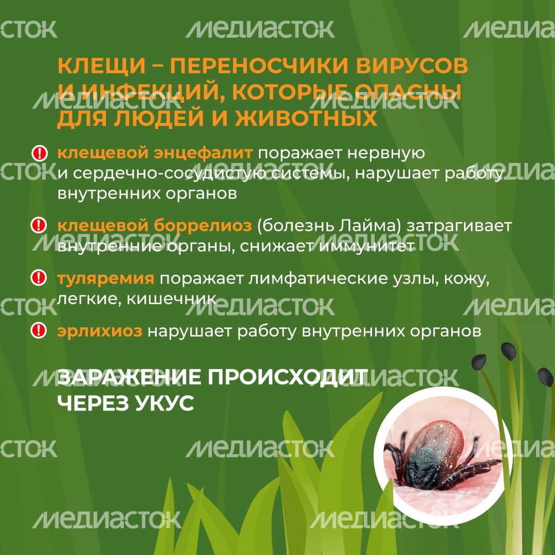 комлесхоз_клещи_кв_3
