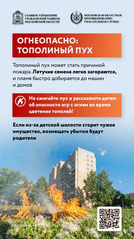 Огнеопасно тополиный пух вертикаль 01