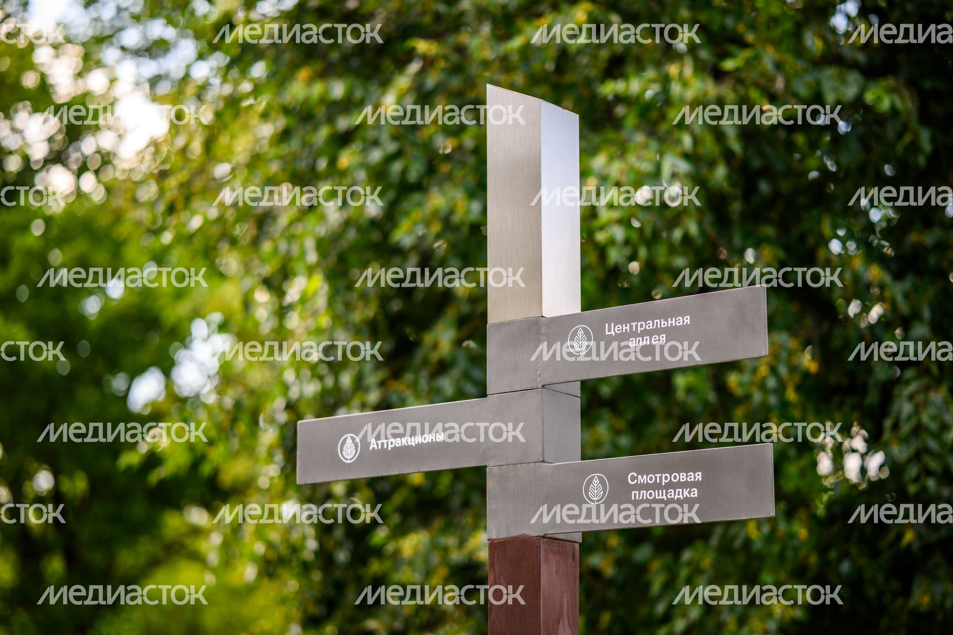 Лето в Наташинском парке Люберец