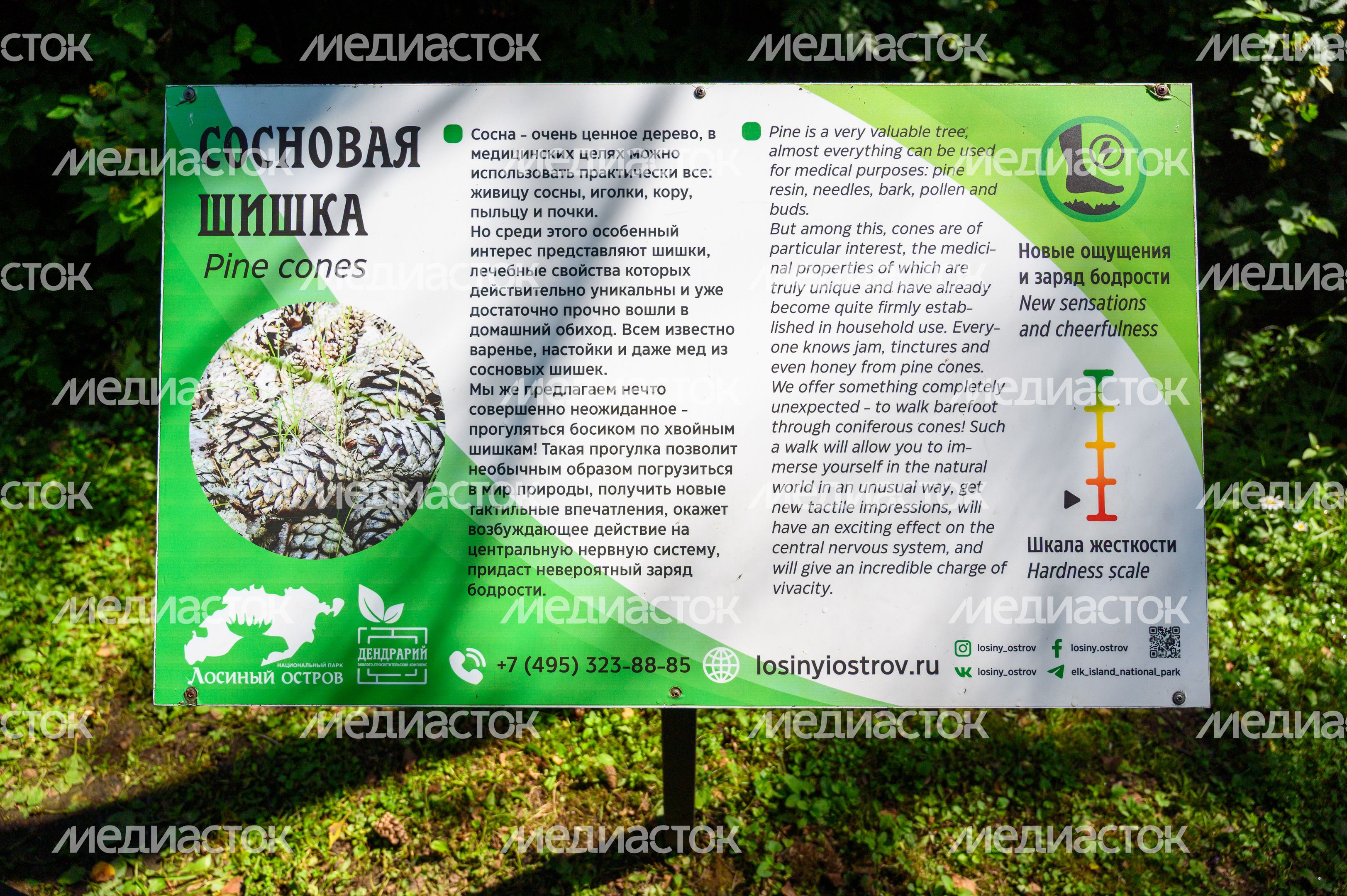 Эколого-просветительский комплекс "Дендрарий" в Мытищах Эколого-просветительский комплекс "Дендрарий" в Мытищах