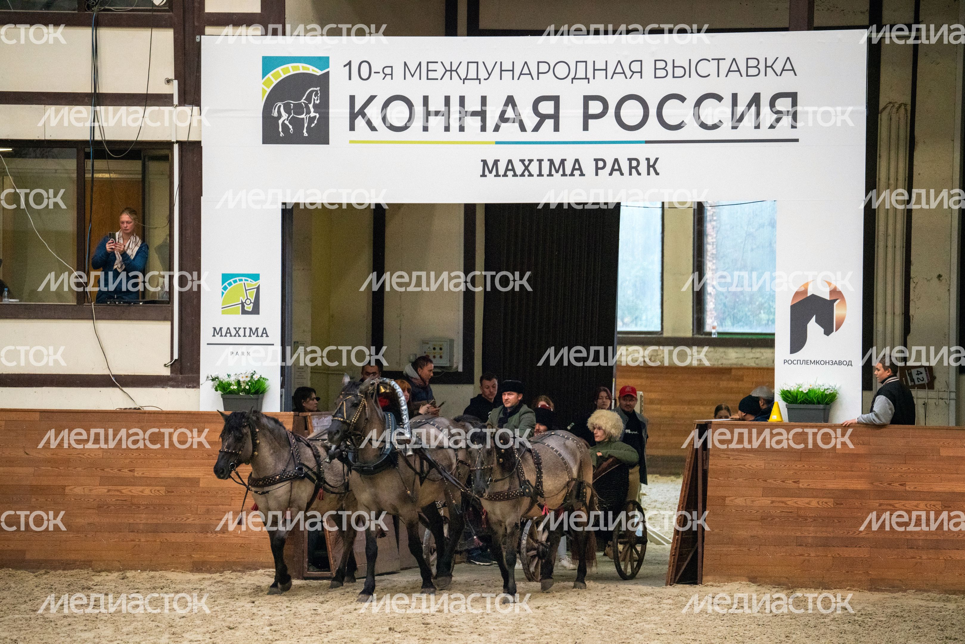Русская тройка на костюмированном шоу на лошадях «Конная палитра» в MAXIMA PARK Русская тройка на костюмированном шоу на лошадях «Конная палитра» в MAXIMA PARK