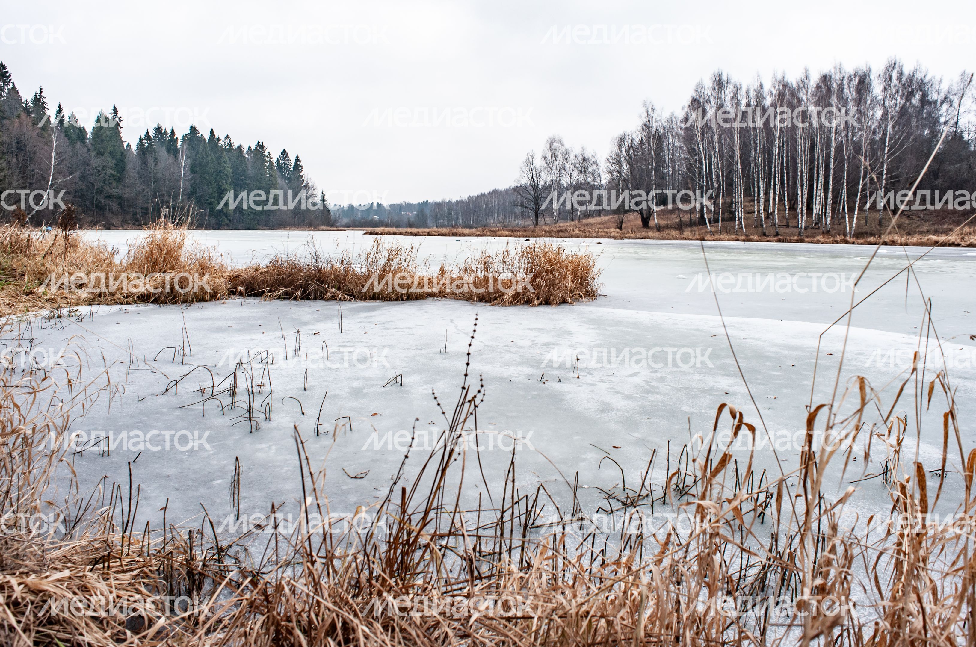 Музей-заповедник «Абрамцево»