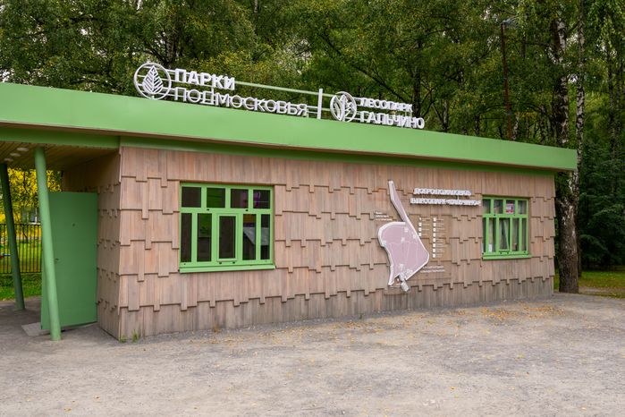 Лето в лесопарке «Гальчино» в Домодедово