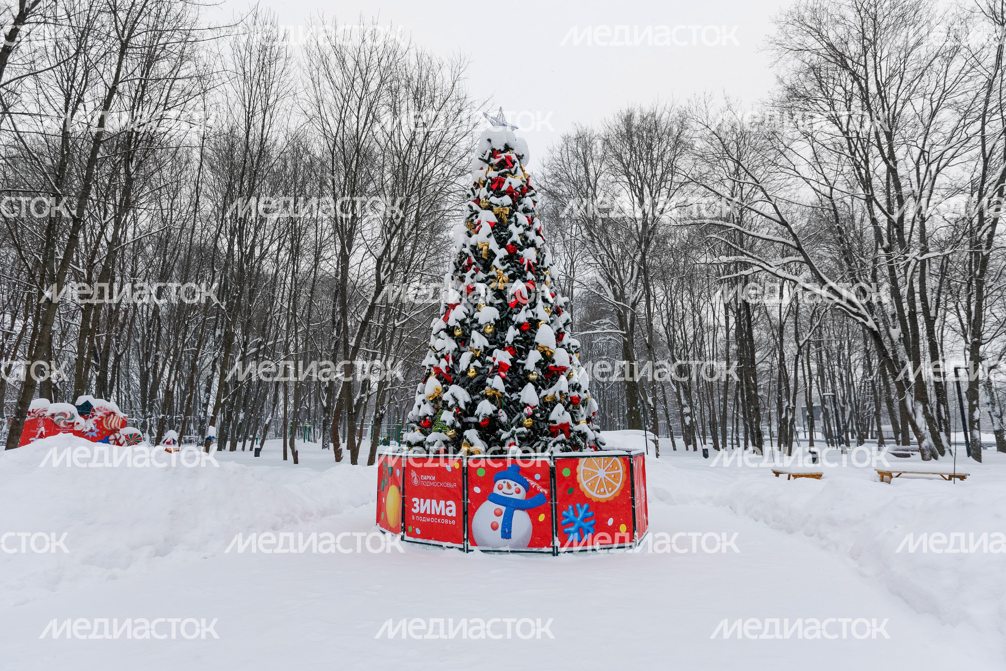 Зима в Лосино-Петровском парке Зима в Лосино-Петровском парке