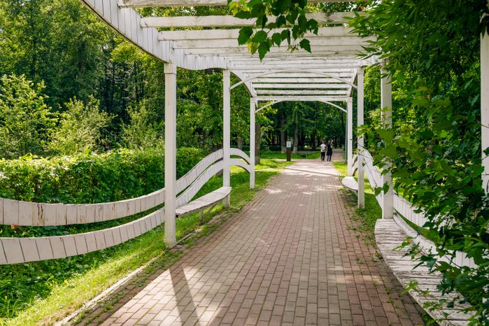 Дорожка для прогулок в летнем парке «Костино» в Королеве
