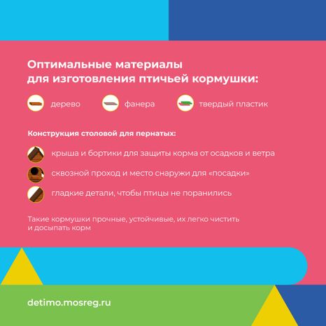 синичкин_день_квадрат_06.jpg