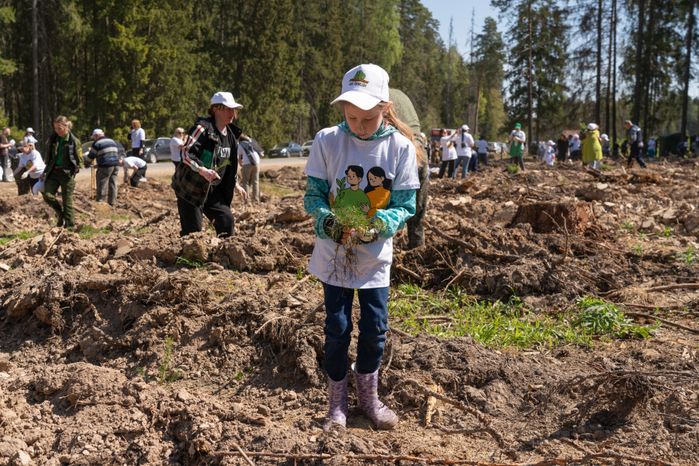 Лес Победы